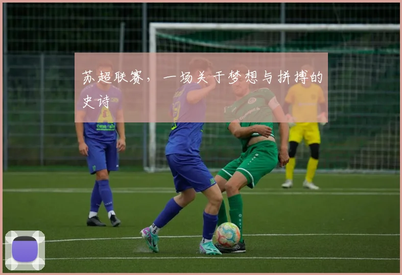 苏超联赛，一场关于梦想与拼搏的史诗