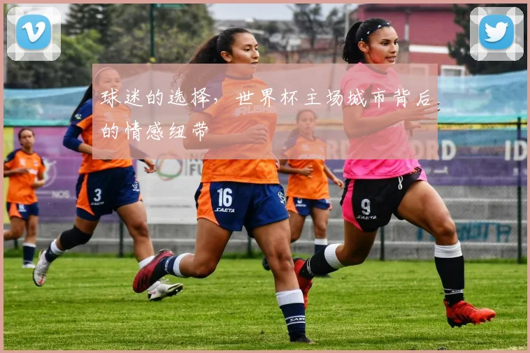球迷的选择，世界杯主场城市背后的情感纽带