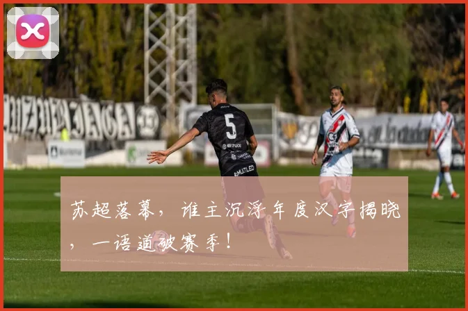 苏超落幕，谁主沉浮年度汉字揭晓，一语道破赛季！